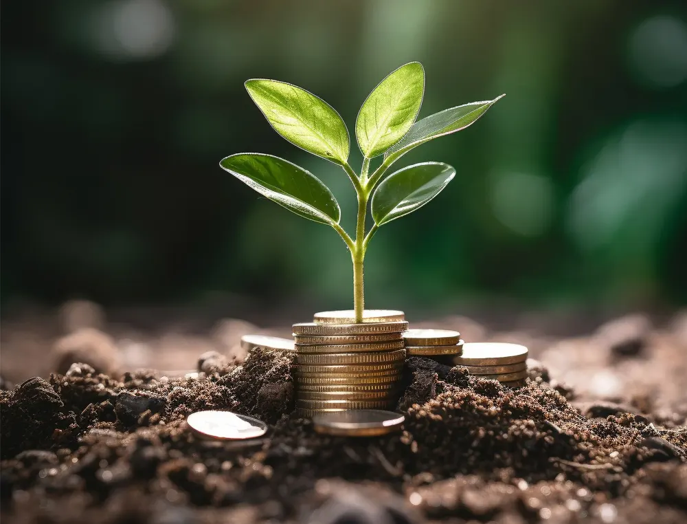 Equity Finance