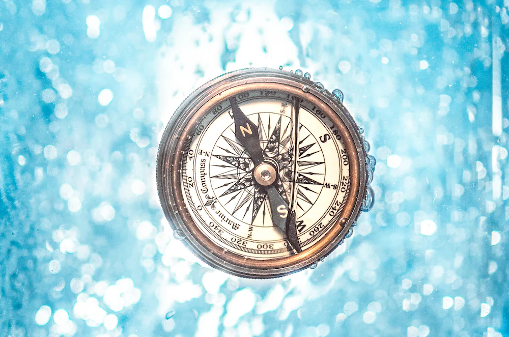 Navigating the Entrepreneurial Arena